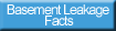 Facts about wet leaking foundations, cellars wall moisture, needs French drainage tile system.